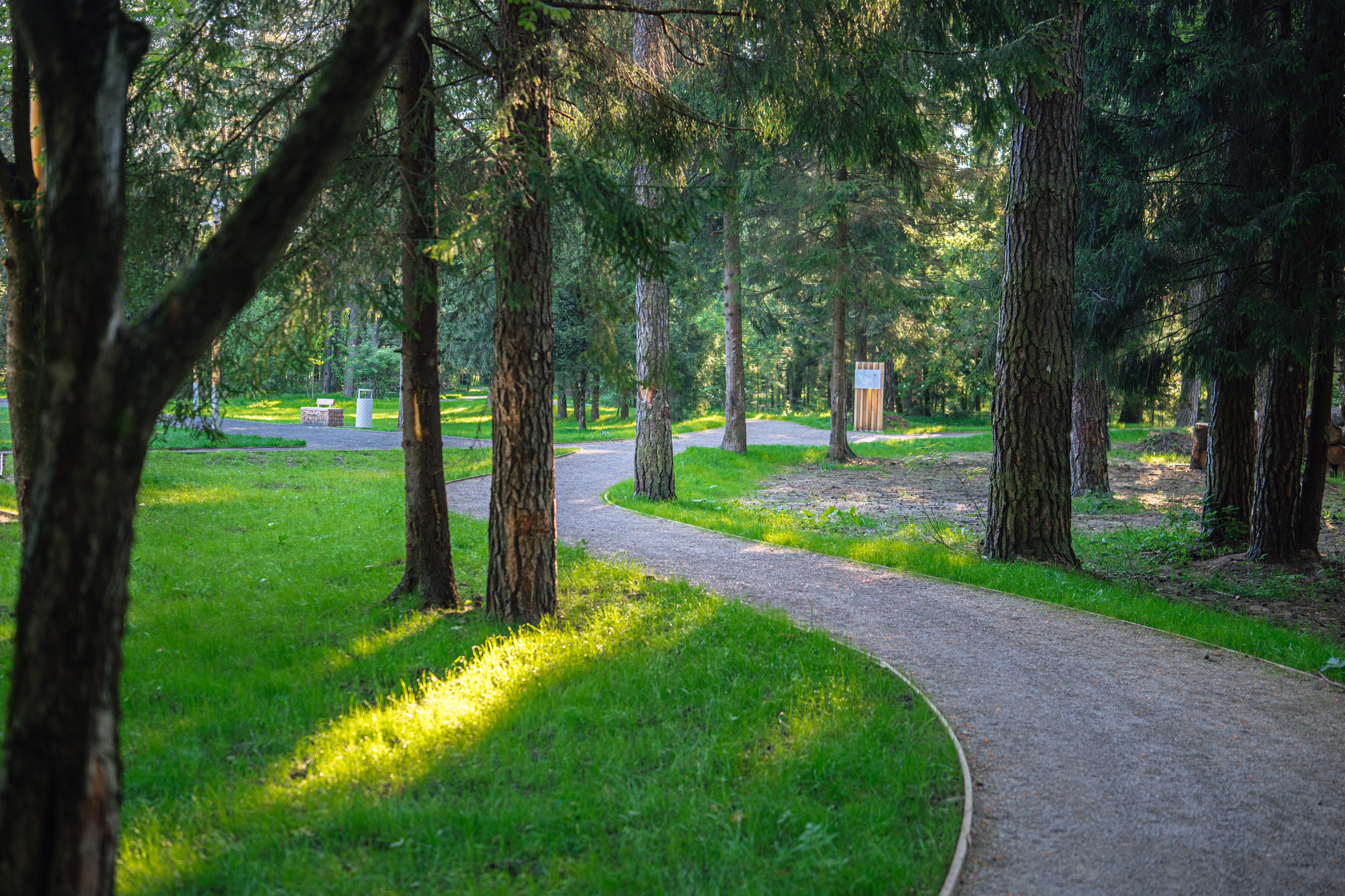 Северный лесопарк