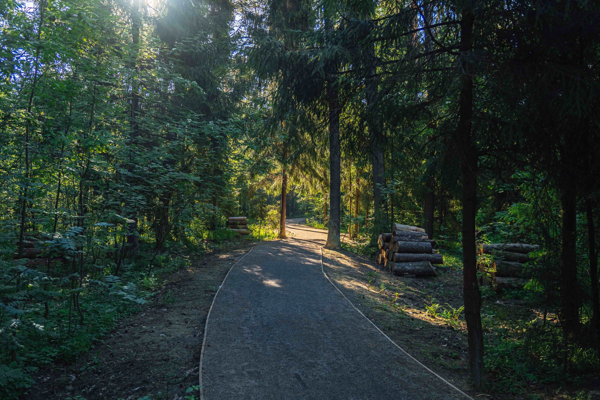 Природа - Природа - 4