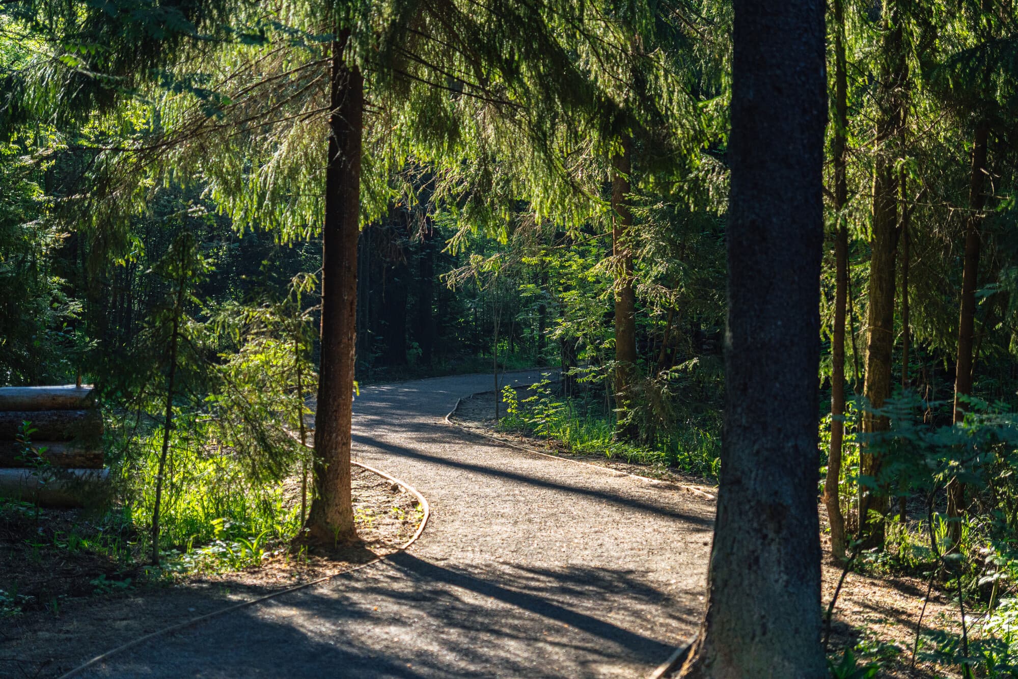 Северный лесопарк