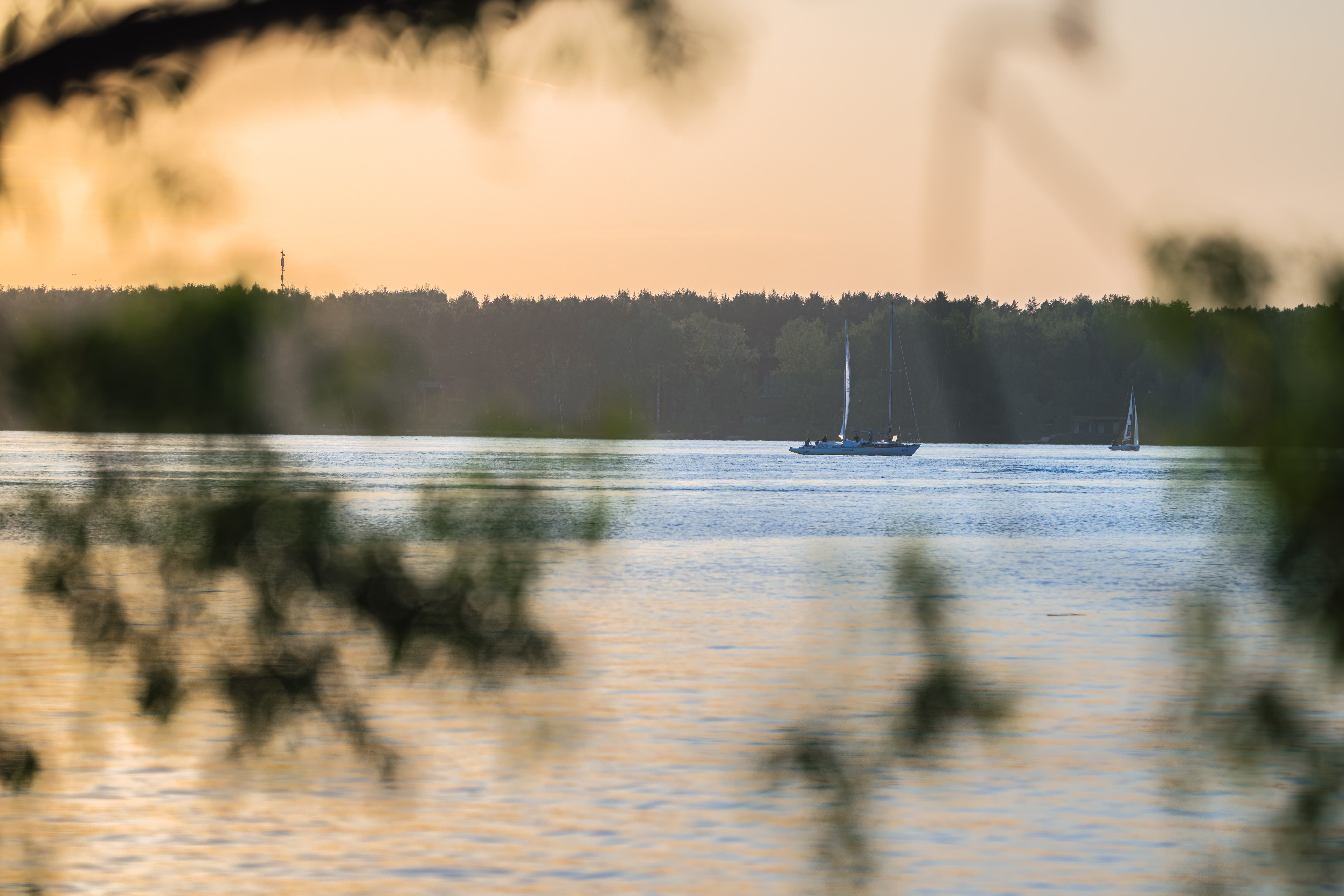 Природа - Природа - 1